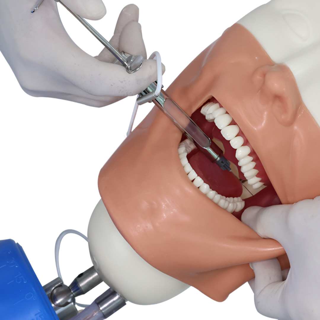 Anaesthesia <br>Simulator